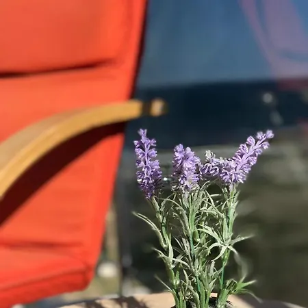 Апартаменты Sea View Astoria Нэводари